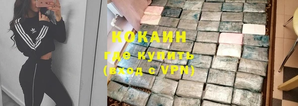 амф Протвино