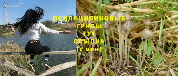 мяу мяу мука Приозерск
