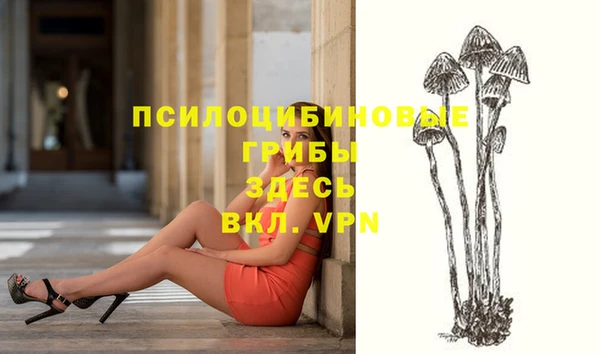 амф Протвино