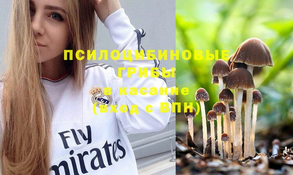 мяу мяу мука Приозерск