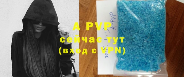 амф Протвино
