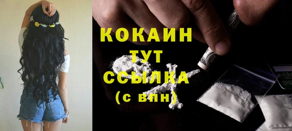 амф Протвино