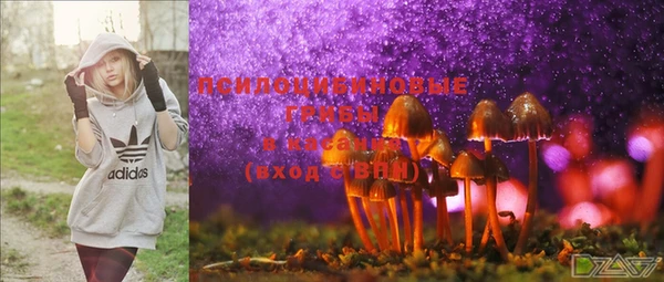 мяу мяу мука Приозерск