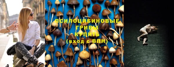 мяу мяу мука Приозерск