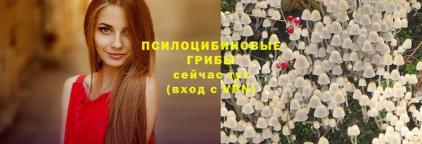 мяу мяу мука Приозерск