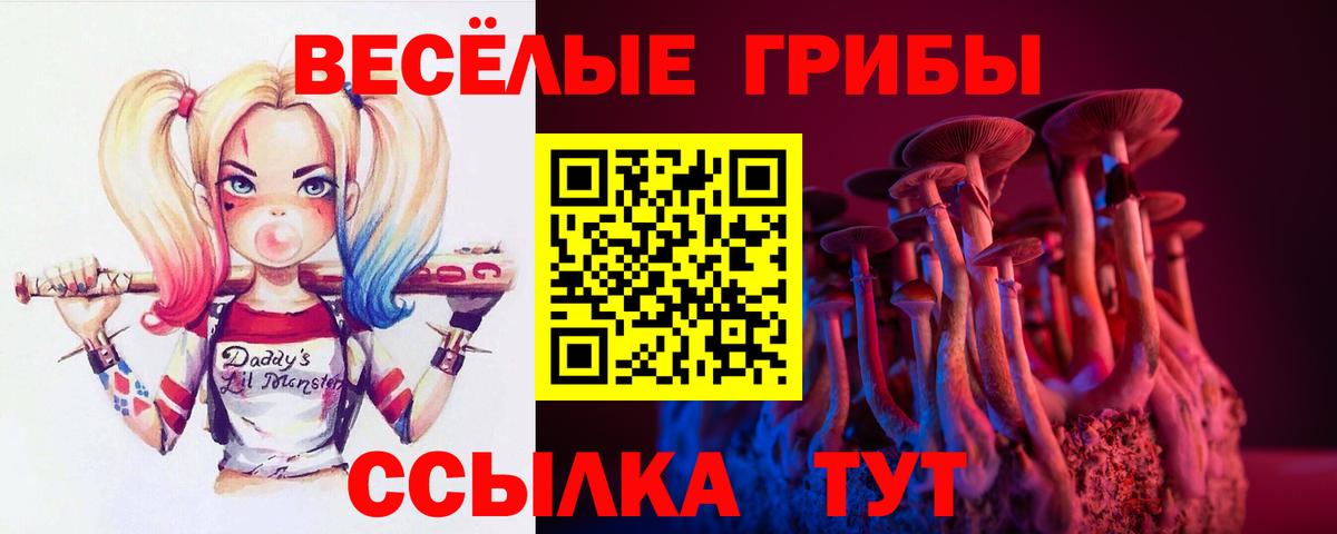 Псилоцибиновые грибы Psilocybe Шатура